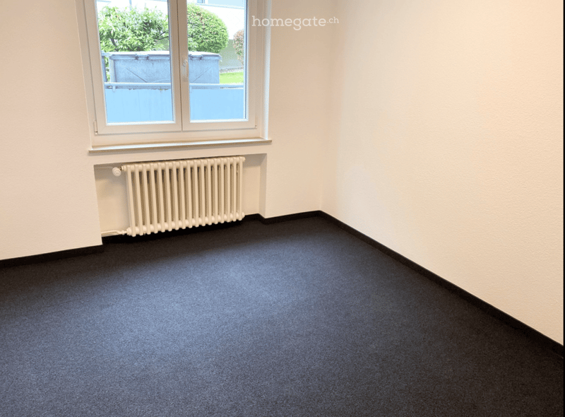 Empty room with light-colored walls, dark blue carpet, a white radiator, and a large window with a view of greenery outside.