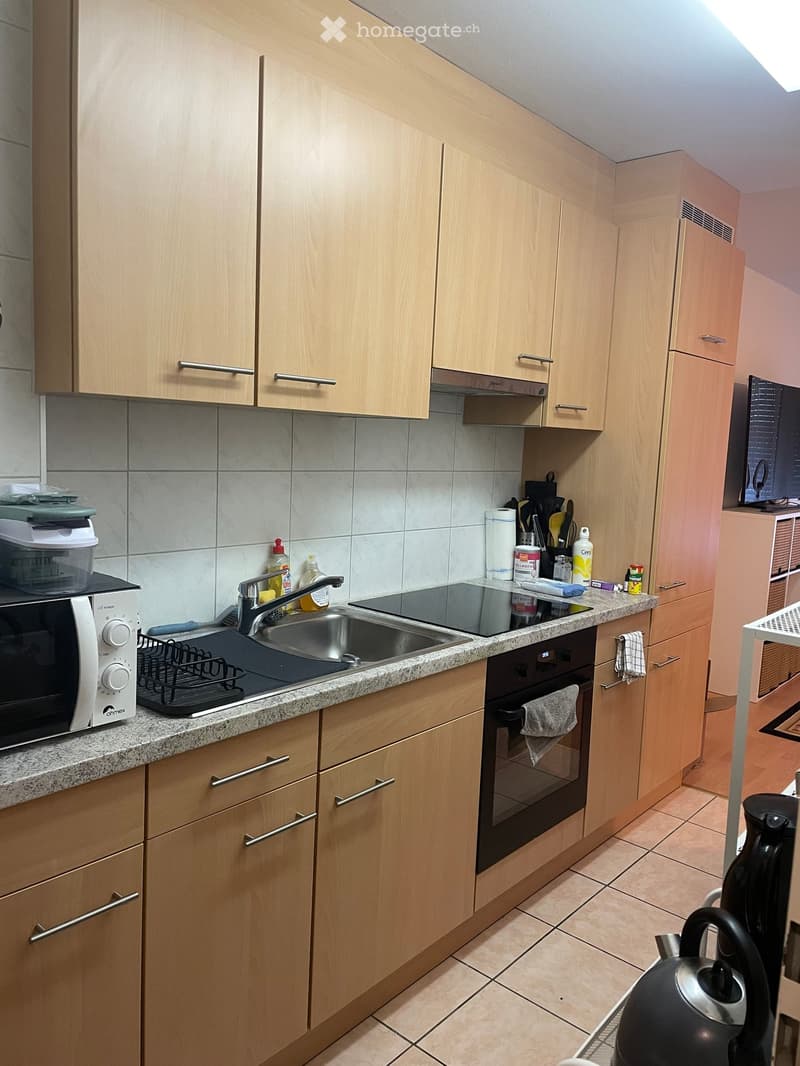 {"type": "Kitchen", "objects": ["sink", "faucet", "oven", "microwave", "cabinets", "keettle", "oven mitt", "oven gloves", "oven cleaner", "oven cleaner", "oven cleaner", "oven cleaner", "oven cleaner", "oven cleaner", "oven cleaner", "oven cleaner", "oven