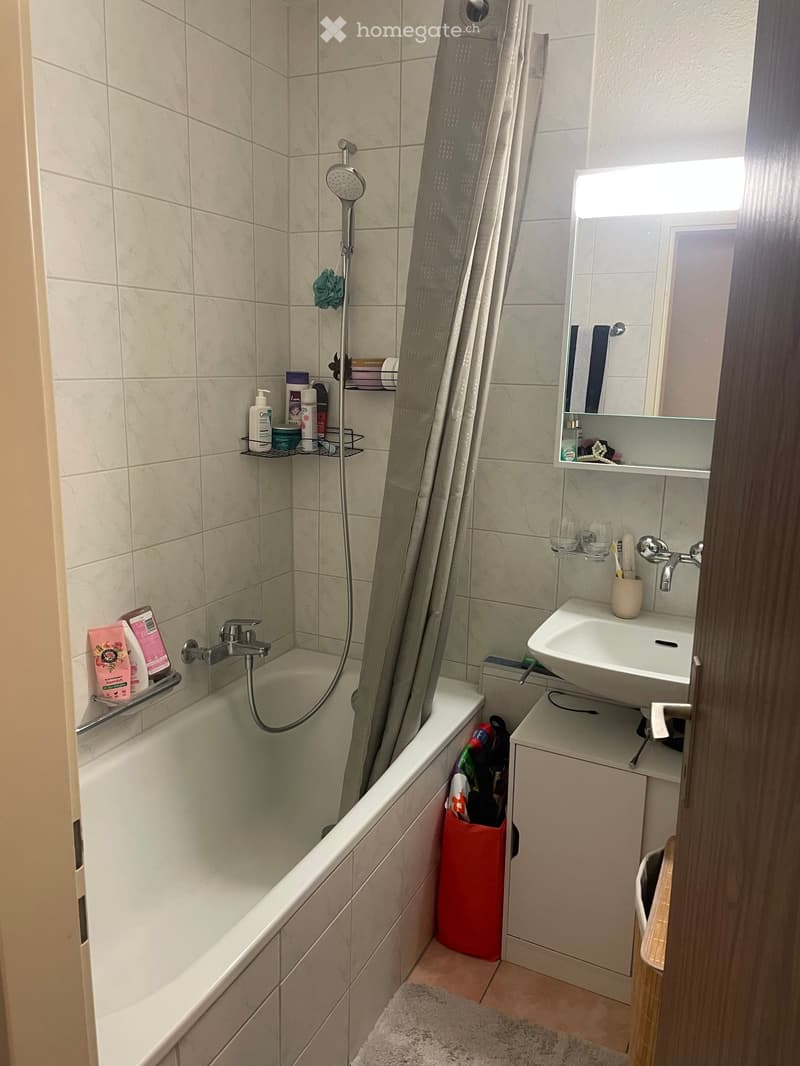 Modern bathroom with a bathtub, showerhead, sink, mirror, and various toiletries neatly arranged on shelves and the sink counter.