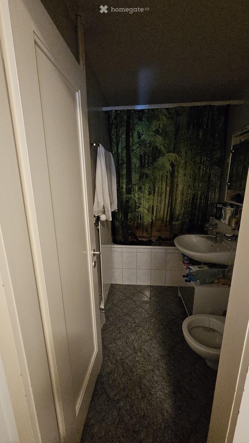 Bathroom with a sink, toilet, bathtub, and a towel hanging on the door. The bathtub has a nature-themed backsplash.