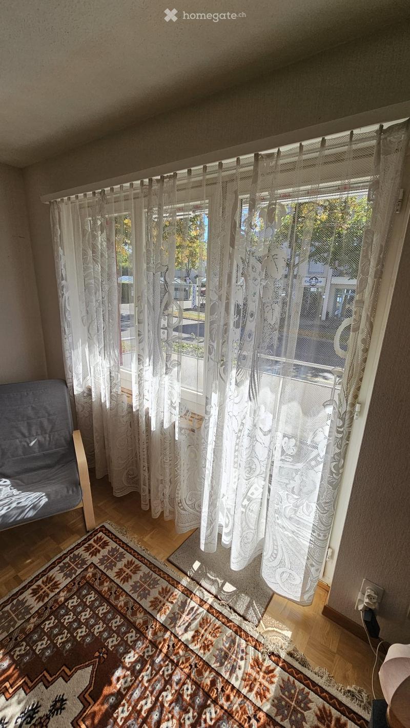 A cozy living space with wooden flooring, a grey sofa, and a patterned rug near the window with sheer curtains.