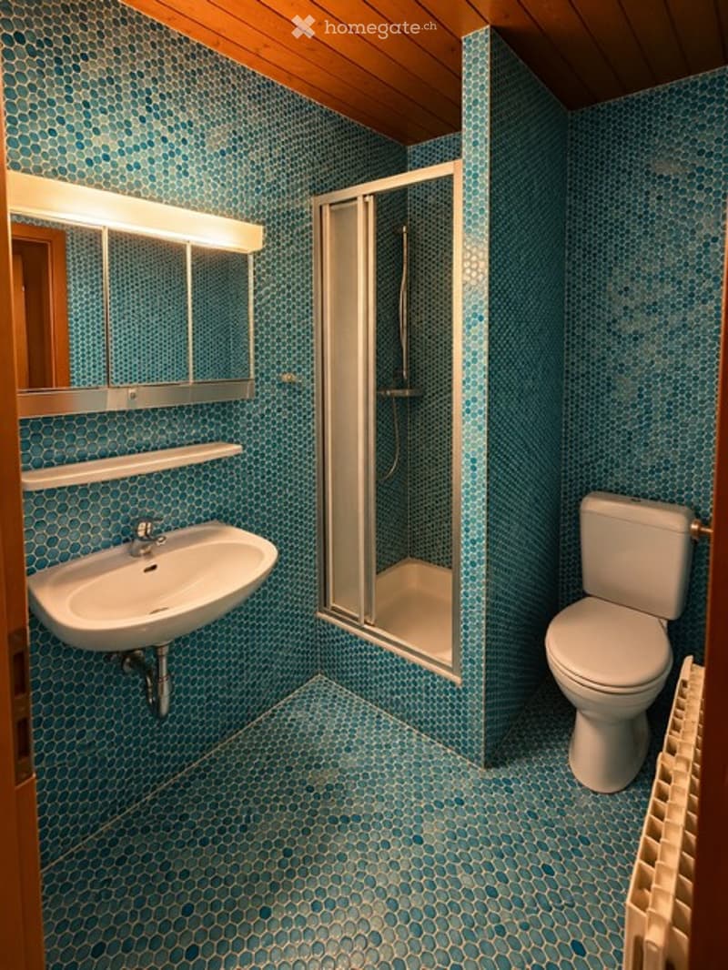 Modern bathroom with blue mosaic tiles, a white sink, a mirror, a toilet, and a glass-enclosed shower stall.