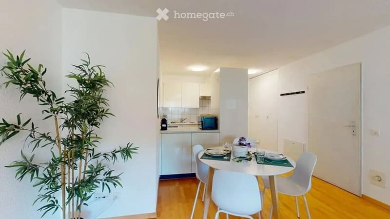 Modern, compact living space with a dining area and an open kitchen. Features a round dining table with four chairs, white kitchen cabinets, a microwave, and a decorative plant in the corner.