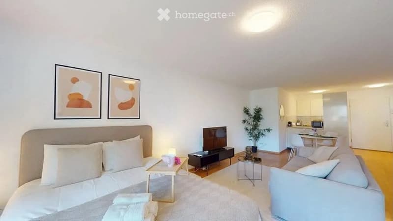A modern, open-concept living and sleeping area with a sofa, coffee table, bed, nightstand, television, small plant, and a kitchen area with cabinets and a microwave.