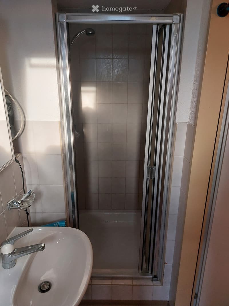 Modern bathroom with a white sink, chrome faucet, glass-enclosed shower, and a mirror on the wall.