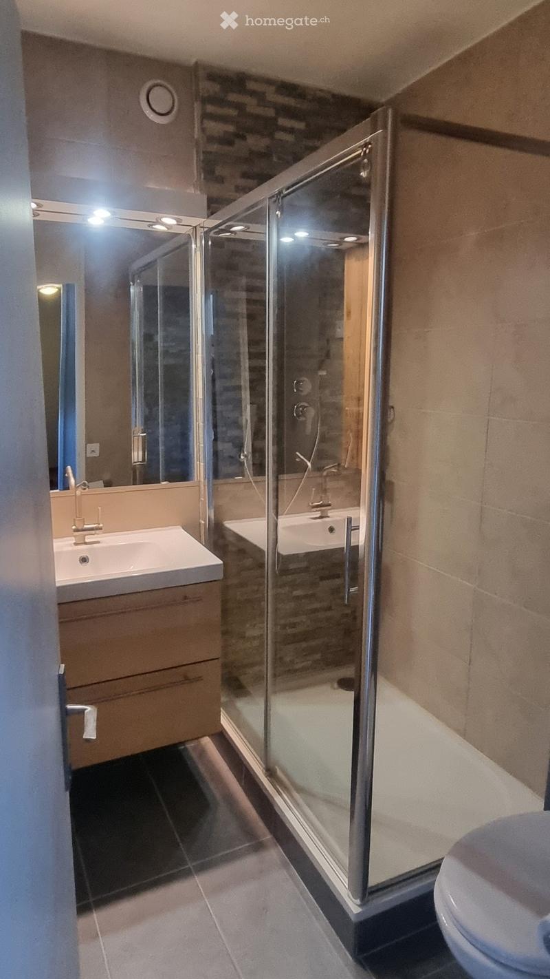 Modern bathroom with a glass-enclosed shower, a sink with a modern faucet, a mirror, and a toilet. The shower has a built-in seat and a handheld showerhead.
