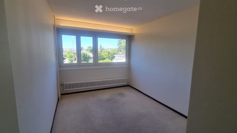 Empty room with light-colored walls, carpeted floor, large window with a view of trees and buildings, and a radiator below the window.