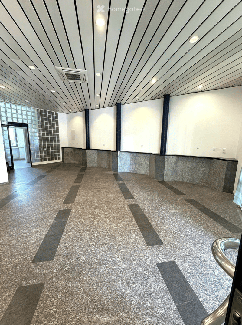 Modern hallway with polished tile flooring, white walls, and a sleek ceiling with recessed lighting. Features a polished metal handrail and a glass-paneled door leading to another area.