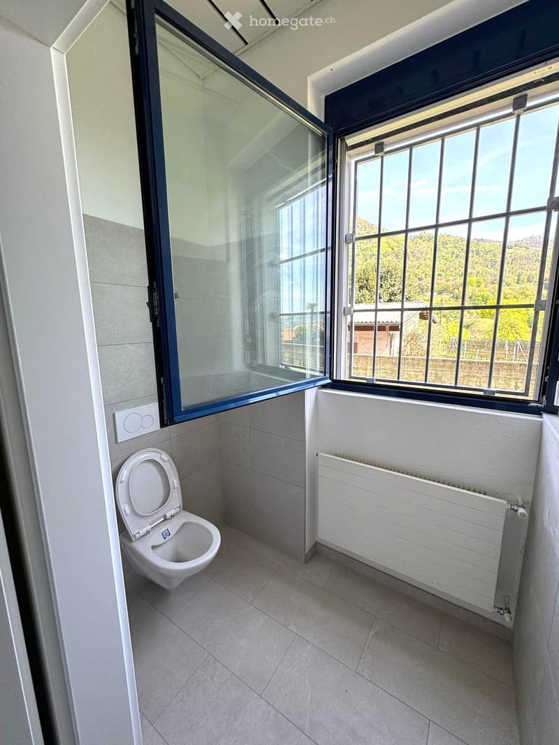 Modern bathroom with a toilet, radiator, large window with view, and glass shower enclosure.
