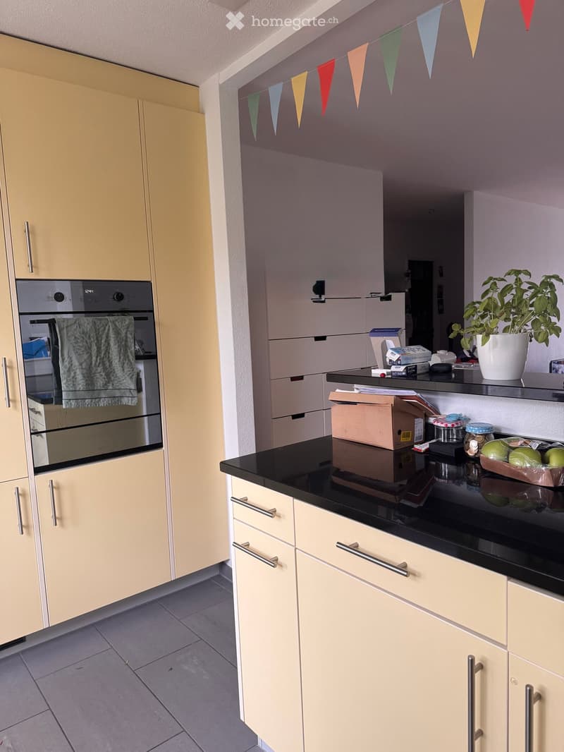 Modern kitchen with light-colored cabinets, black countertop, and stainless steel oven. A potted plant and various items are on the counter.
