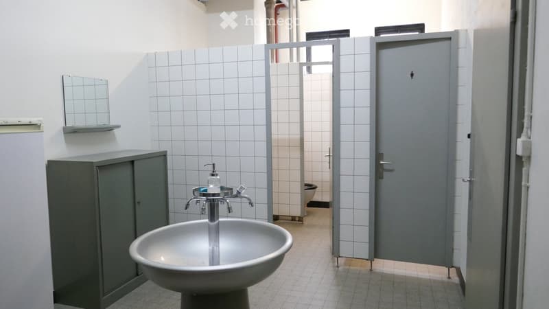 Public restroom with a sink, faucet, mirror, cabinet, and soap dispenser. A stall with a toilet is visible in the background.