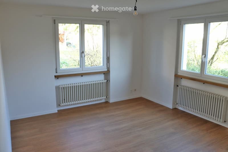 Empty room with wooden flooring, white walls, large windows, radiators, and a single hanging light fixture.