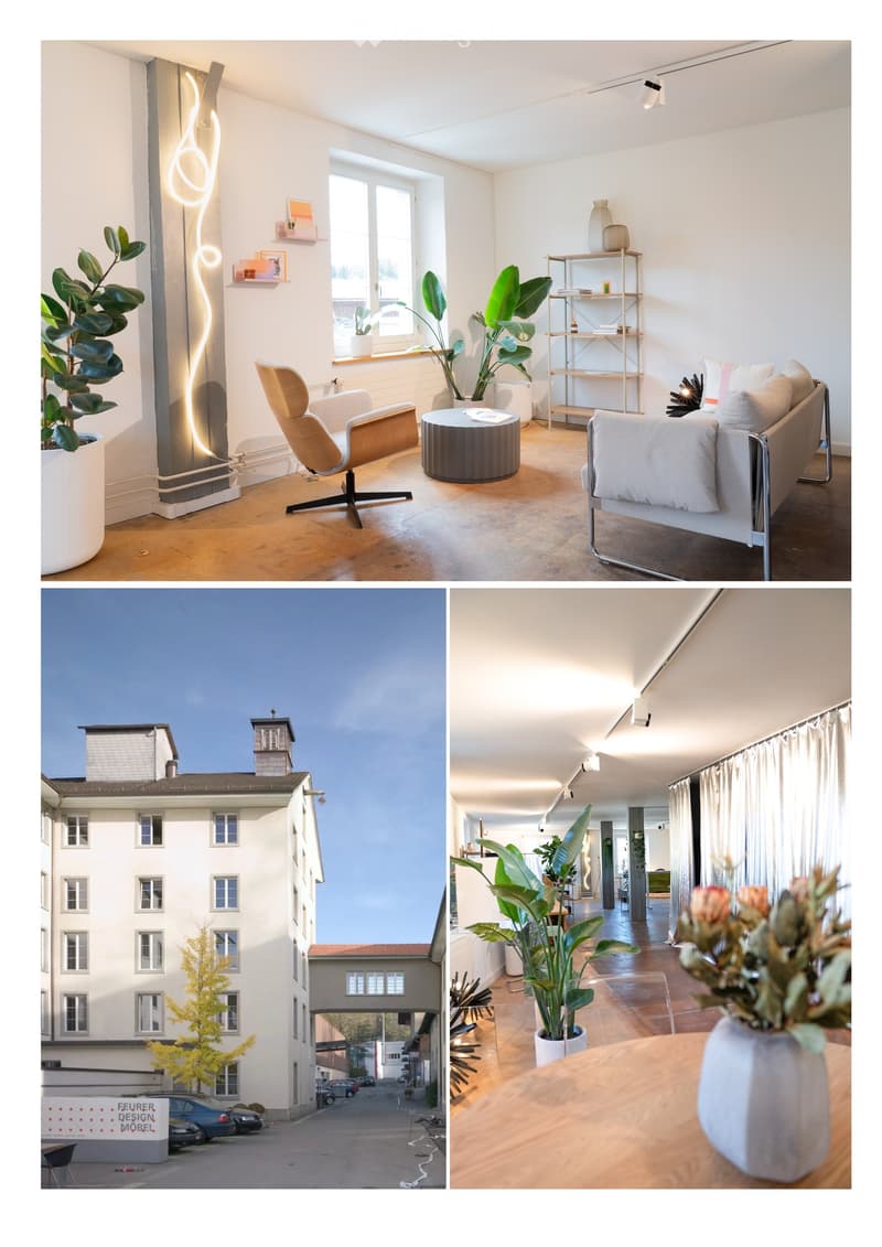 A modern, well-furnished living room with a sofa, armchair, coffee table, and decorative plants. The exterior shows a multi-story building with classic architecture and a small courtyard.