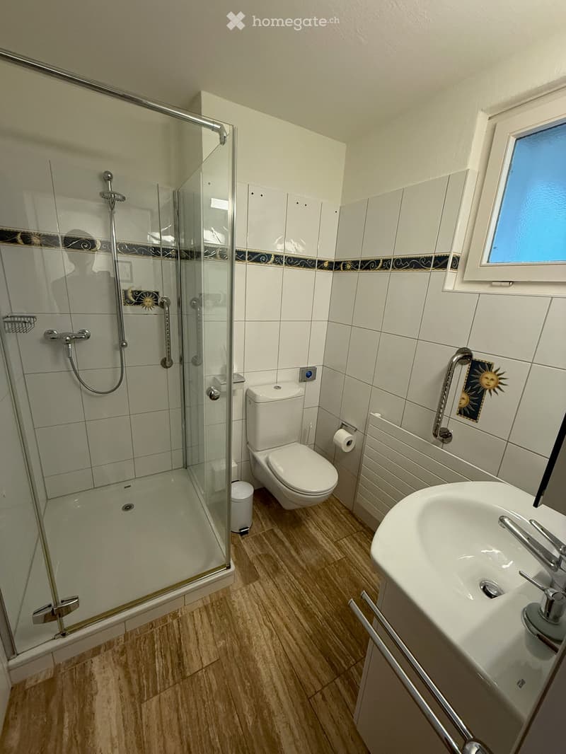 Modern bathroom with white tiles, wooden flooring, a glass-enclosed shower, toilet, sink, and a window providing natural light.