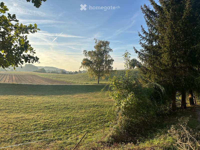 A peaceful rural landscape with a grassy field, trees, and a distant view of cultivated farmland under a clear blue sky.