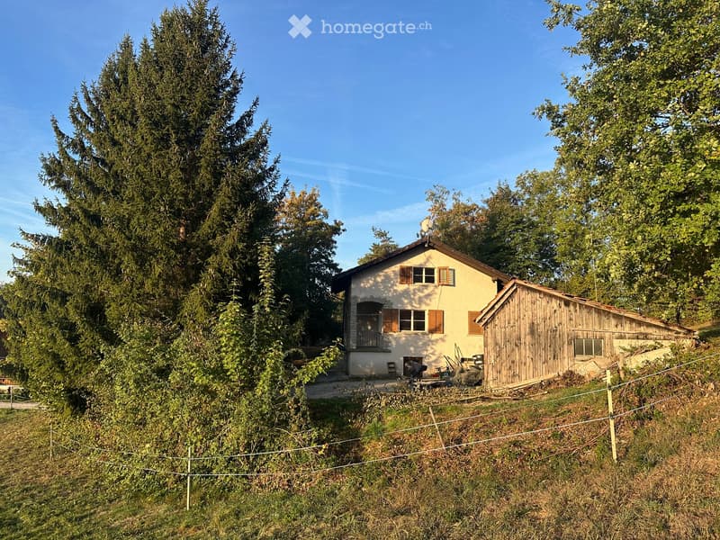 A two-story house with a pitched roof, surrounded by tall trees and a wooden shed. The house has multiple windows with shutters and a small balcony on the upper floor.