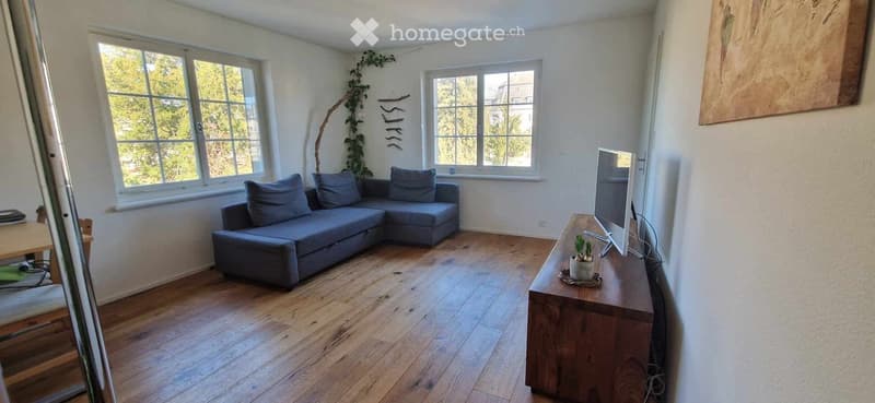 Living room with wooden floor, large windows, grey sectional sofa, wooden TV stand with screen, small plant, and decorative wall art.