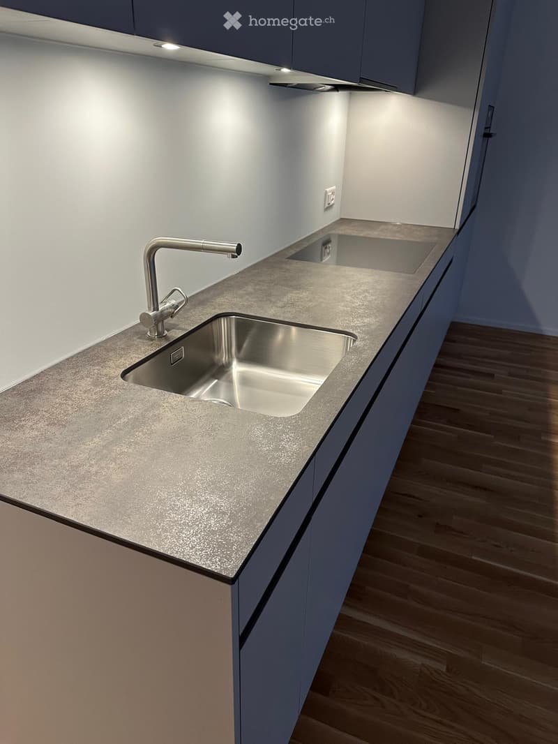 Modern kitchen with a stainless steel sink, sleek faucet, and grey countertops.