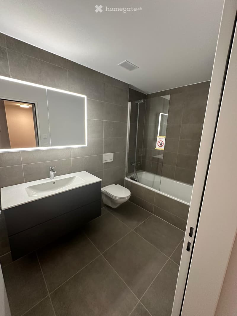 Modern bathroom with dark grey tiles, a white sink with a dark cabinet, a toilet, a bathtub with a glass shower enclosure, and a large illuminated mirror.