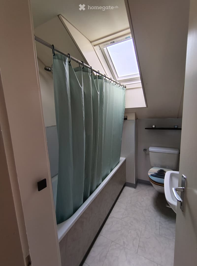 Compact bathroom with a toilet, sink, bathtub, and a shower curtain. Features a skylight window above the bathtub and tiled flooring.
