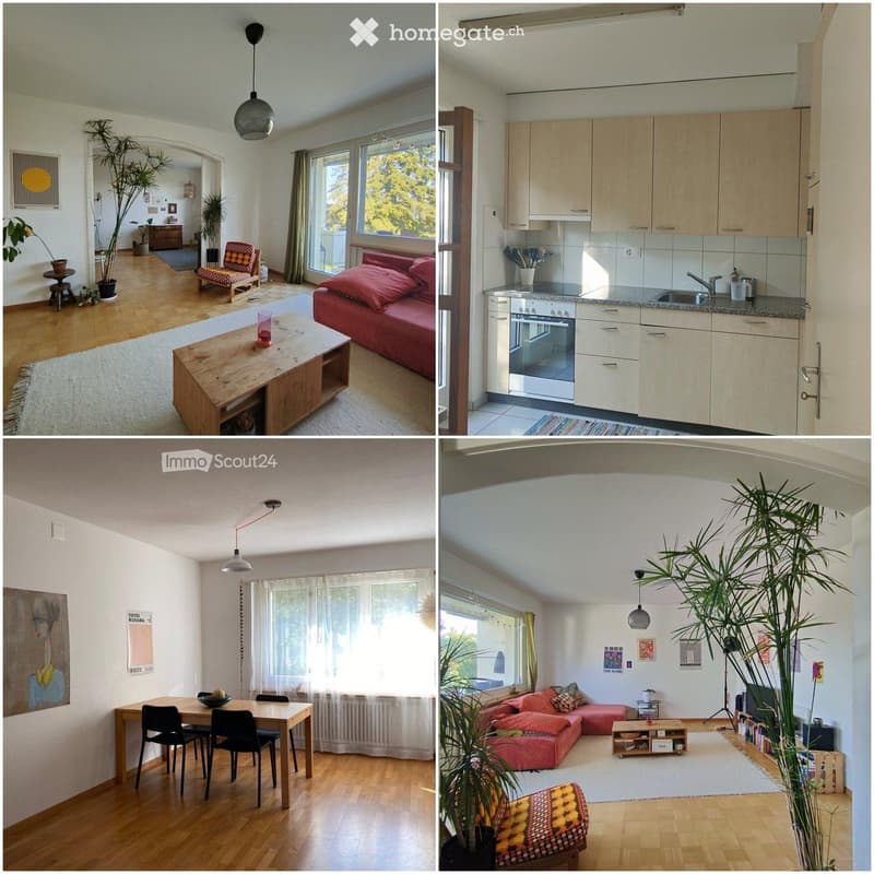 Four images showing a furnished living room, kitchen, dining area, and another living space with a sofa, table, chairs, pendant light, cabinet, oven, sink, faucet, stool, plant, painting, mirror, and lamp.