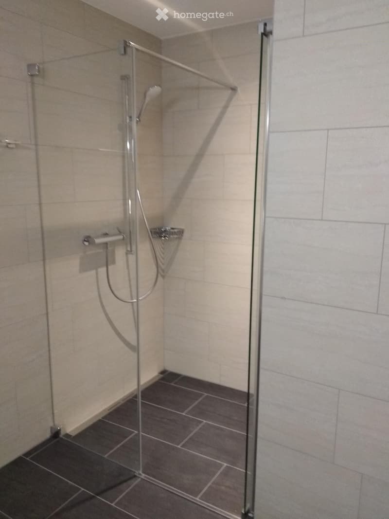 Modern shower area with glass enclosure, tiled walls, and dark tiled floor.