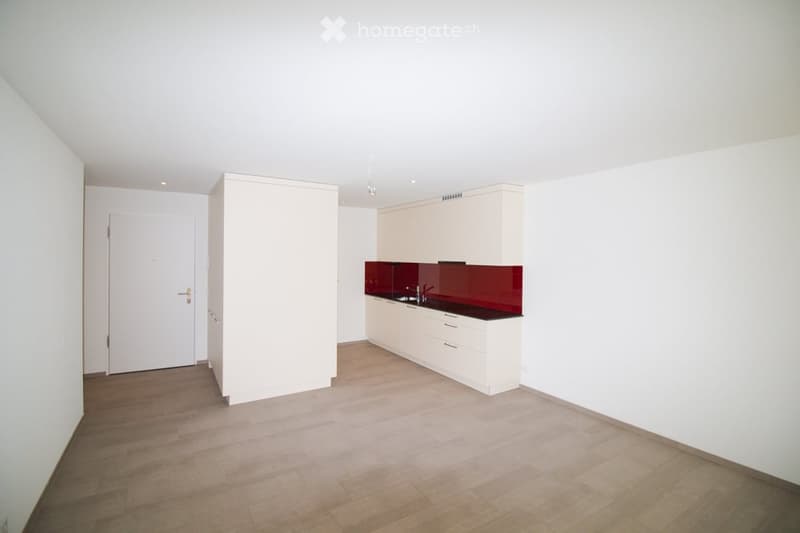 Empty kitchen with white cabinets, a red backsplash, and a wooden floor. No furniture or appliances are present.