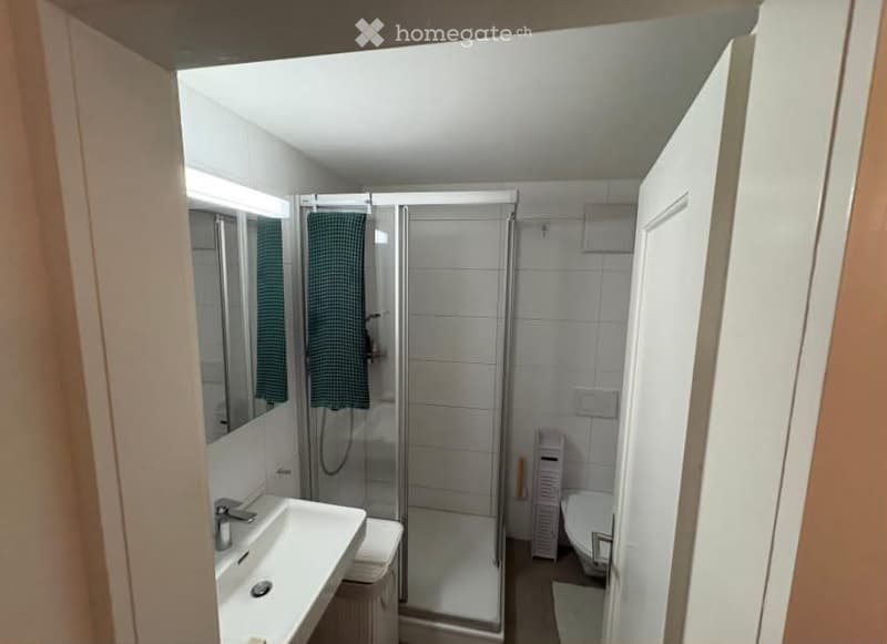Modern bathroom with a white tiled shower, a sink with a mirror, and a toilet. The space is well-lit with a towel hanging on the shower door.