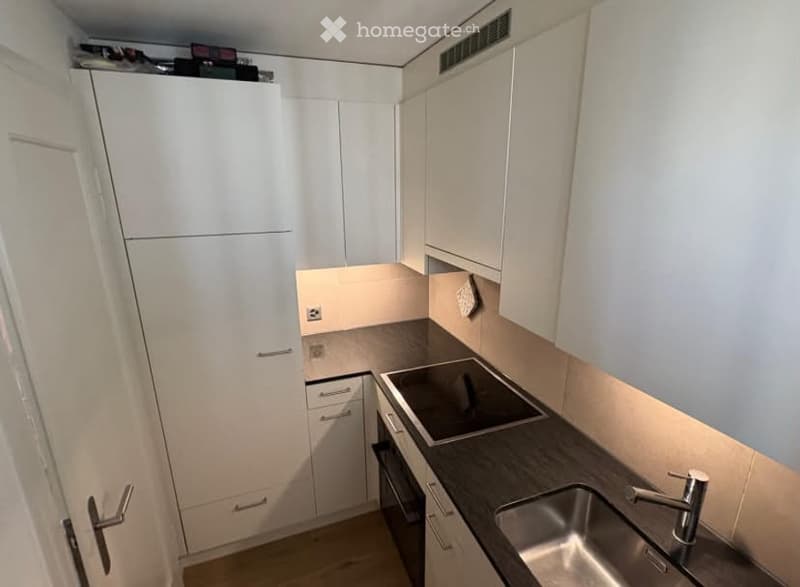 Modern kitchen with white cabinets, dark countertop, stainless steel sink, and built-in oven.