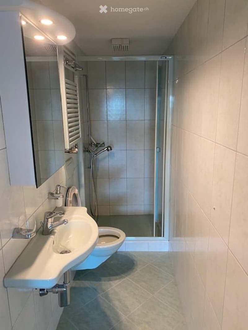 Modern bathroom with a white sink, toilet, and glass-enclosed shower. Features a mirror above the sink and a sleek faucet design.