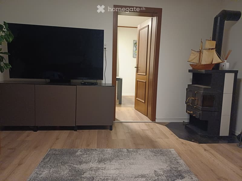 Living room with wooden flooring, television on a cabinet, fireplace with model ship on top, and a rug on the floor.