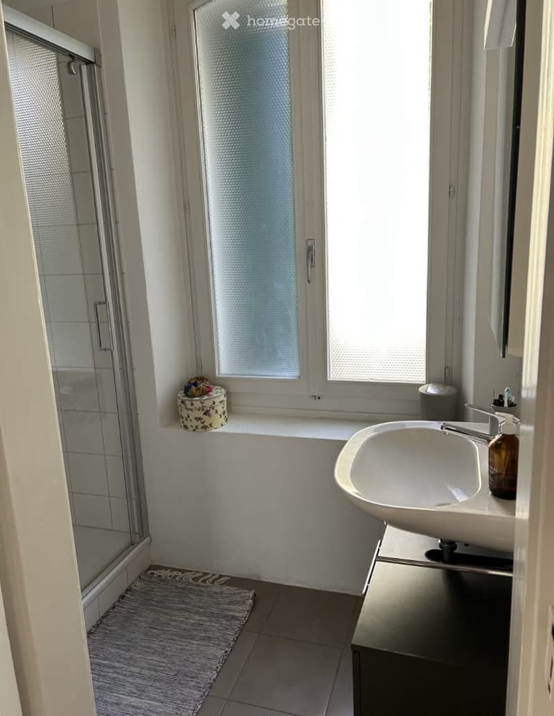 Modern bathroom with a white sink, glass shower enclosure, and a decorative box on the windowsill.
