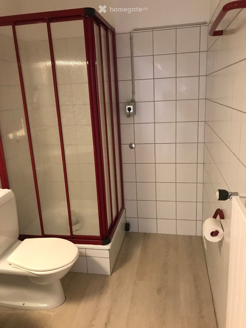 Bathroom with white tiled walls, wooden floor, toilet, toilet paper holder, and a red-framed shower enclosure.