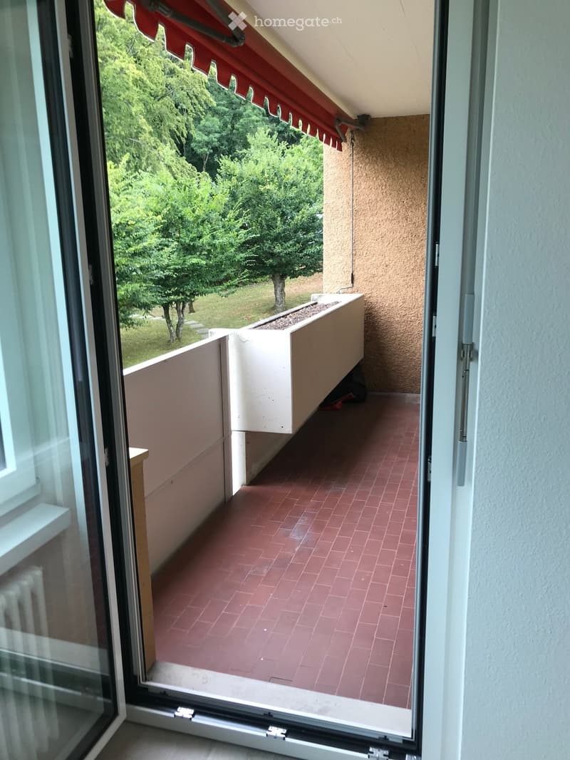 Balcony with red-tiled floor, white planter box, and red awning, overlooking a green, tree-filled area.