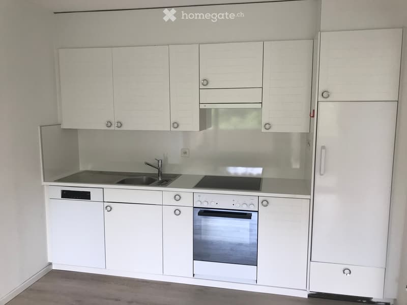 Modern white kitchen with sleek cabinets, integrated appliances including a sink, oven, and dishwasher, and a clean, minimalist design.