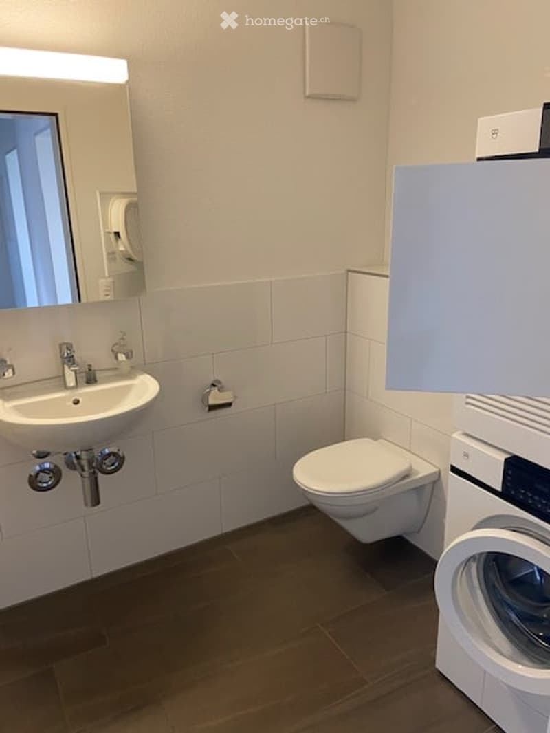 Modern bathroom with white tiles, a sink with a mirror, a toilet, and a washing machine. The floor is wooden, and the walls are white.