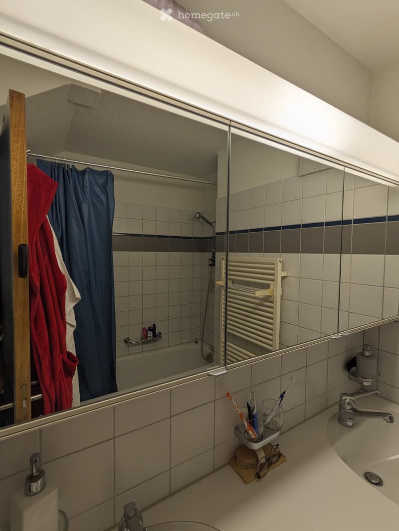 Modern bathroom with a bathtub, shower area, mirror, and various toiletries. Features include a towel rack, radiator, and a shower curtain.