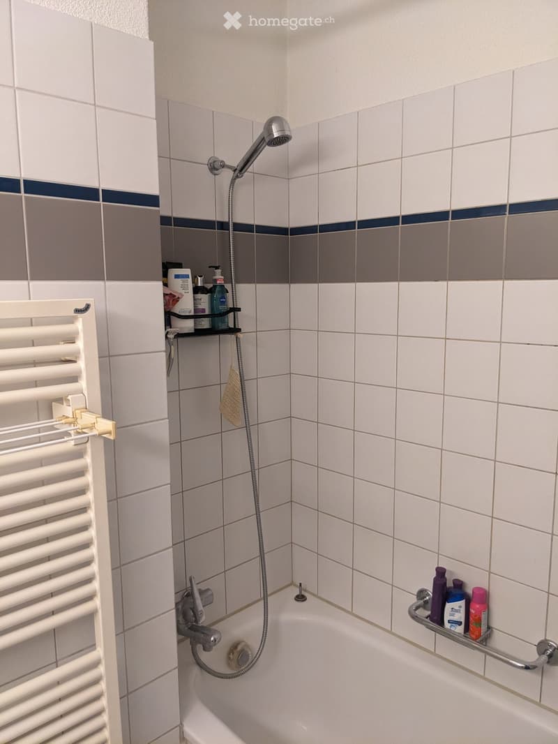 Bathroom with a bathtub, showerhead, towel rack, and bathroom products on shelves.
