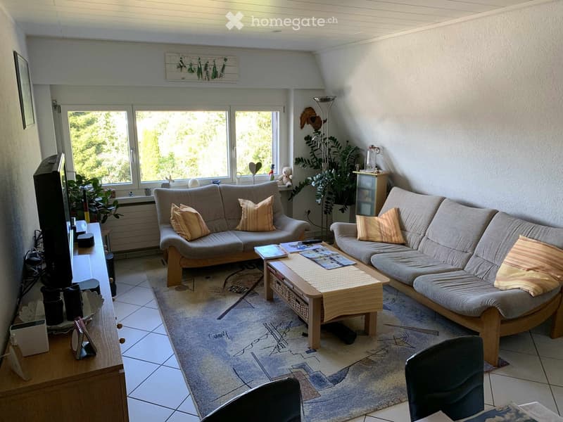 Bright living room with large windows, two sofas, coffee table, and decorative plants.