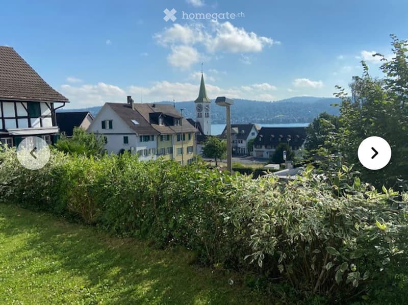 Garden with green bushes and grass, overlooking a town with houses and a church tower, with a lake and mountains in the background.
