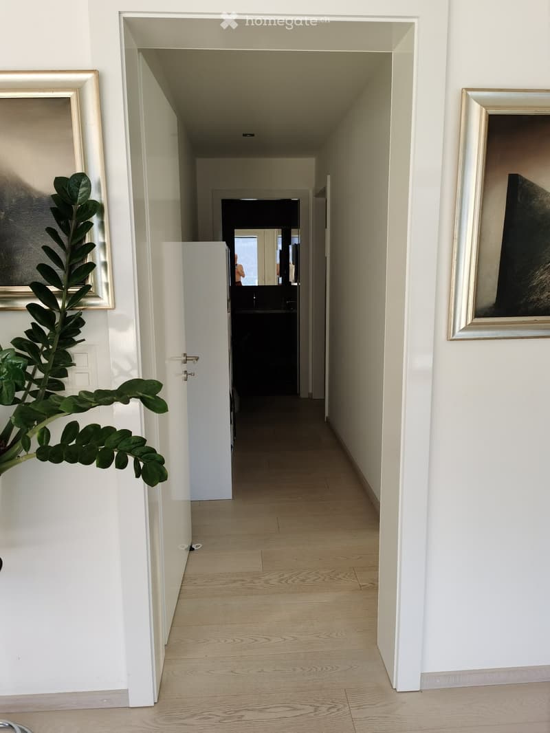 A clean, modern hallway with light wooden flooring and white walls, featuring framed artwork and a potted plant on the left side.