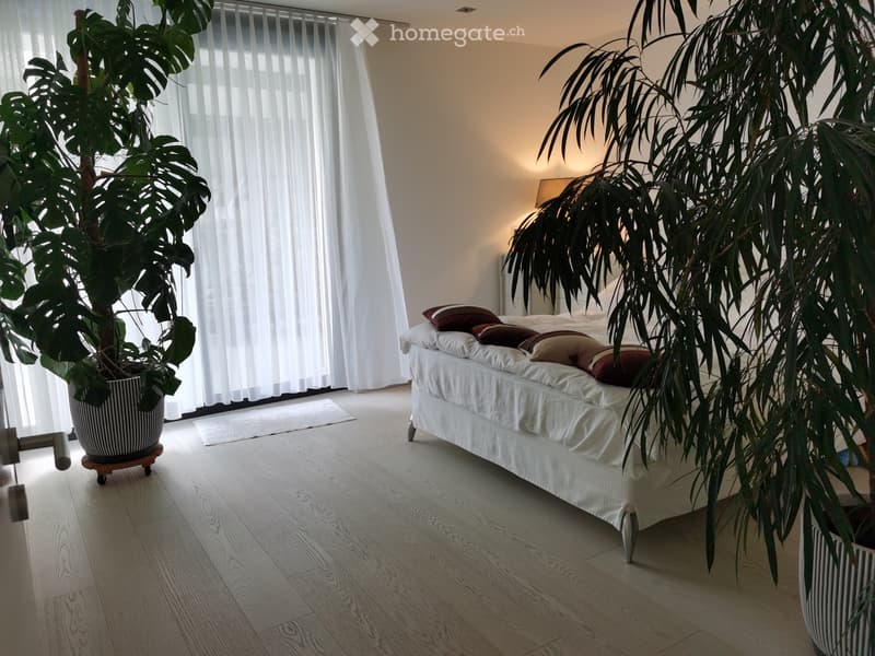 Modern bedroom with a white bed, multiple pillows, large potted plants, and light wooden flooring.