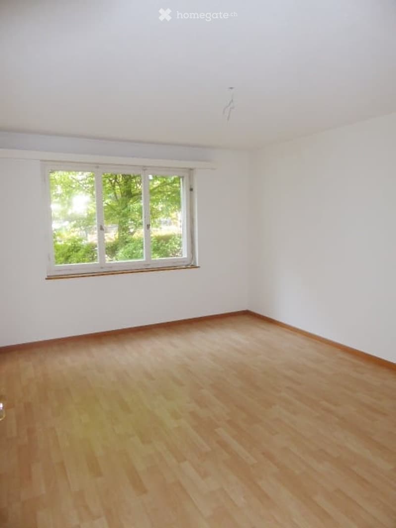 Empty room with white walls, wooden floor, and large window with white frame and multiple panes.