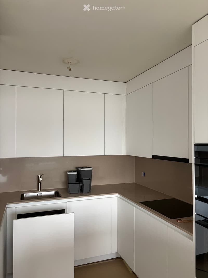 Modern kitchen with white cabinets, stainless steel sink, and countertop. Trash bins are placed on the counter.