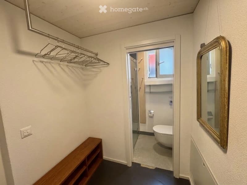 Small bathroom with a toilet, a large mirror with a decorative frame, and a wooden shelf in the hallway.
