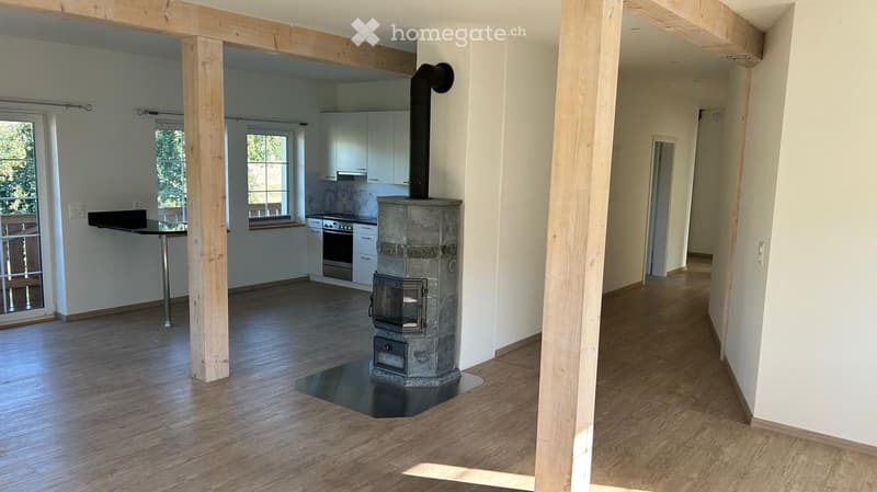 Open-plan living and dining area with a central stone wood stove, modern kitchen area with cabinets and oven, and a small dining table near the window.