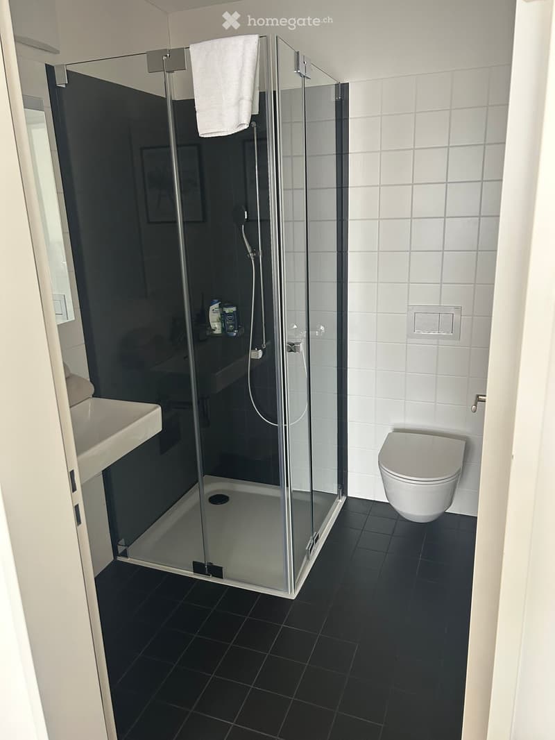 Modern bathroom with black tiled floor, white tiled walls, glass-enclosed shower, toilet, sink, and a white towel hanging on the shower door.