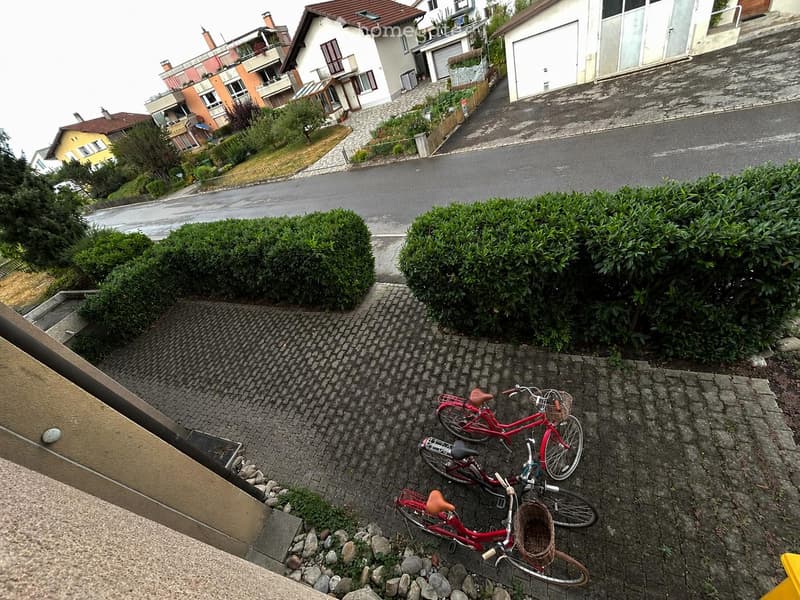 Two red bicycles parked on a paved area with surrounding greenery and bushes.