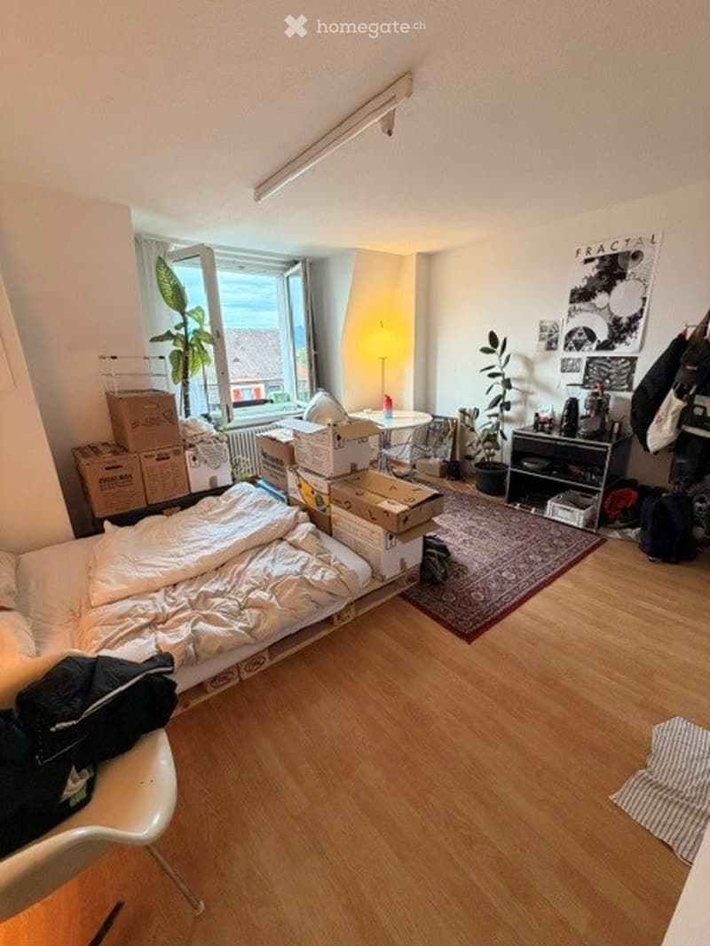 A cozy bedroom with a wooden floor, a large bed with white bedding, a white chair, a small table with a lamp, several storage boxes, a rug, a plant near the window, and a shelf with various items.