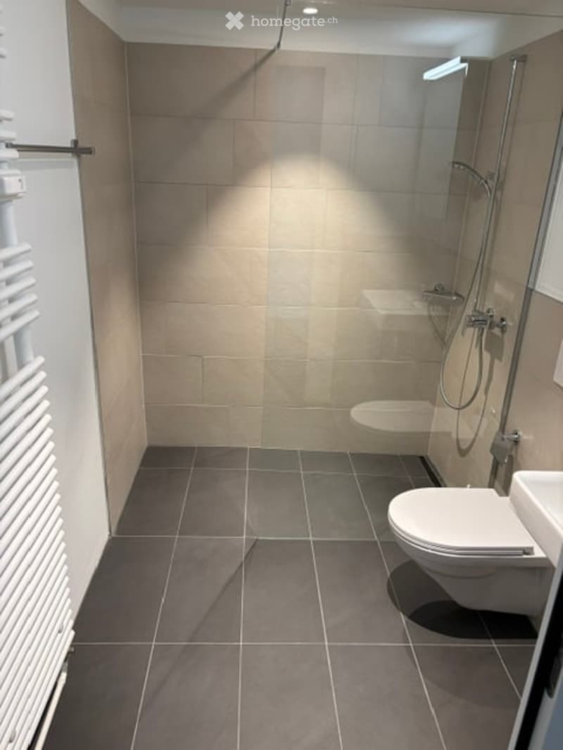 Modern bathroom with dark grey tiles, a glass-enclosed shower, a toilet, a sink, and a white towel rack.